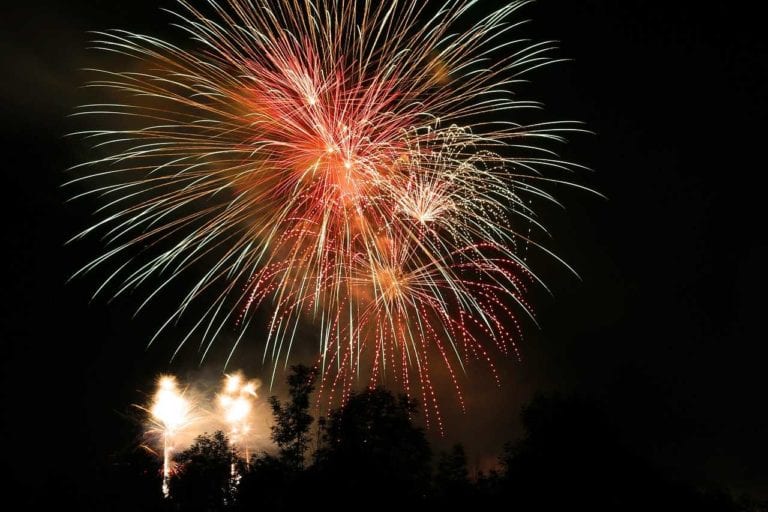 Fireworks and pets | Heathside Vet