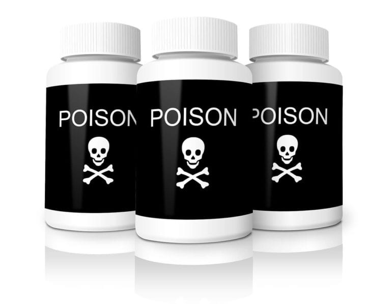 Pets and poisons - what is harmful to your best friend | Heathside Vet