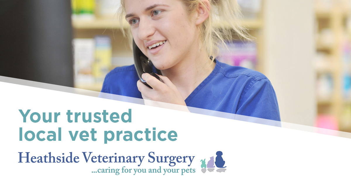 Helpful online ordering for pet prescriptions and food Heathside Vets