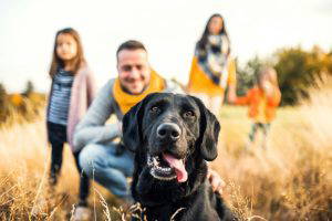 Back to school - leaving pets alone | Heathside Vets